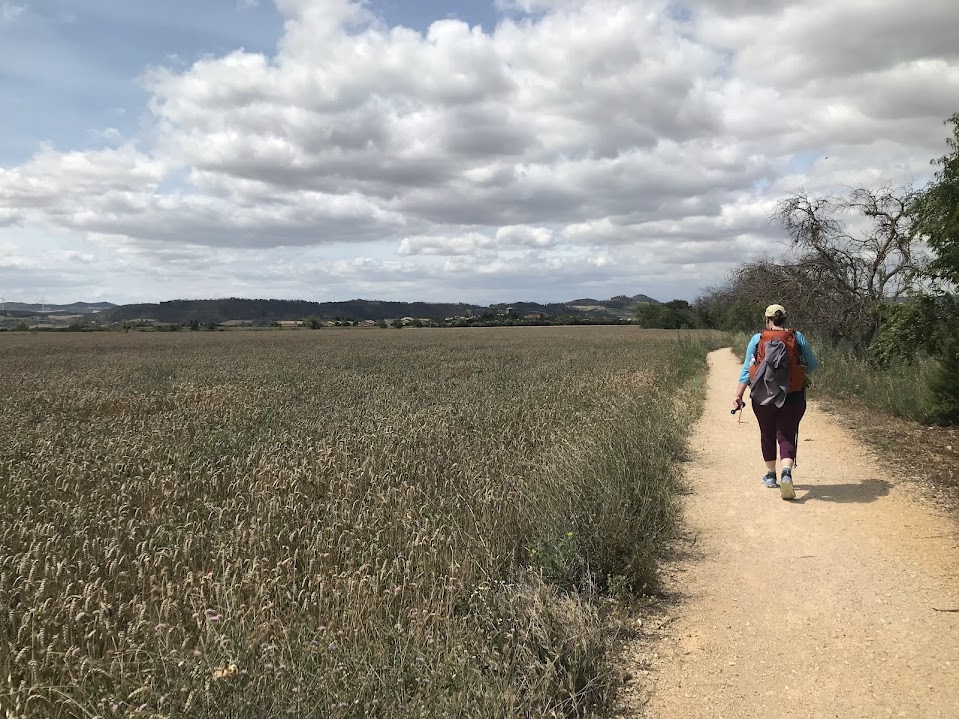 On Walking
